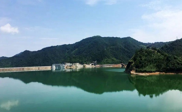20250804上报（2条）配图03  压缩.jpeg