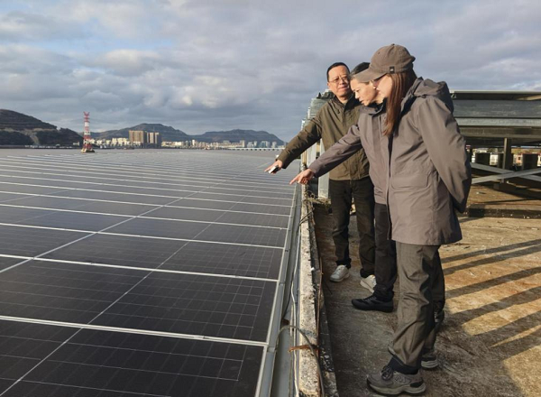 1770363032209040.png 图片1.png