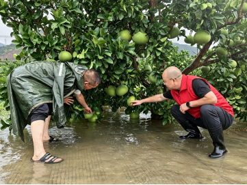 精准驰援，台州银行业全力助推复工复产（改）2757.png